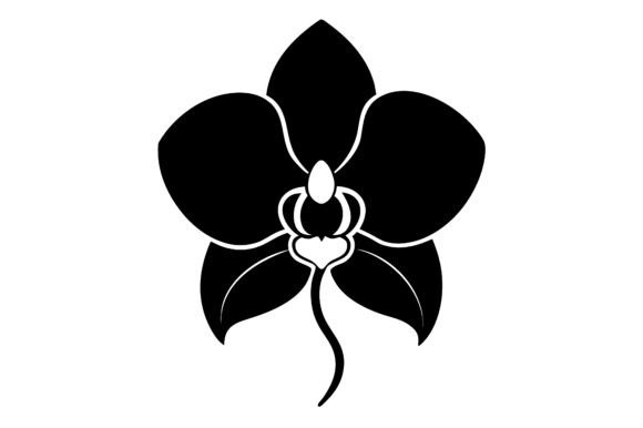 Orchid Clip Art Black Silhouette