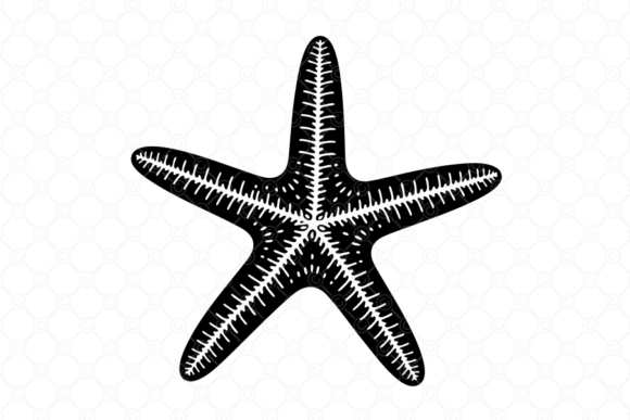 Starfish SVG, Starfish Silhouette, 030